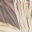 Smith Optics Realtree Max 4 Frame Swatch
