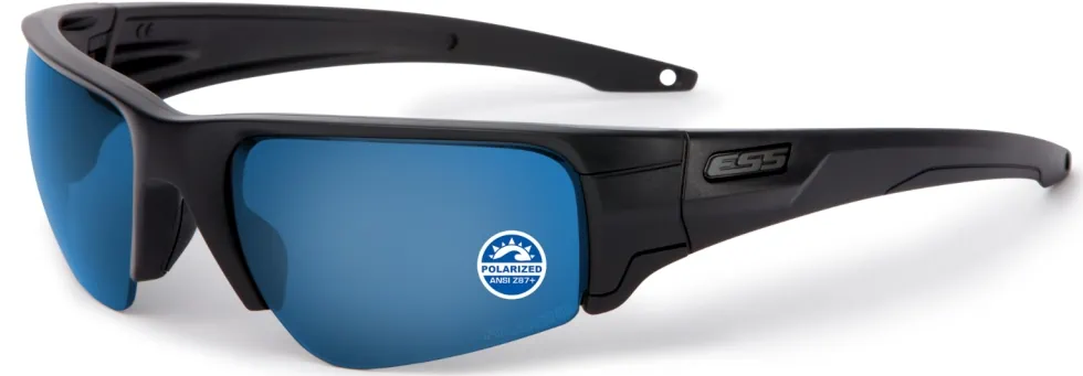 ESS EE9019-02 CROWBAR シルバーロゴ　２LENS Crowbar Silver Logo | ESS EyePro