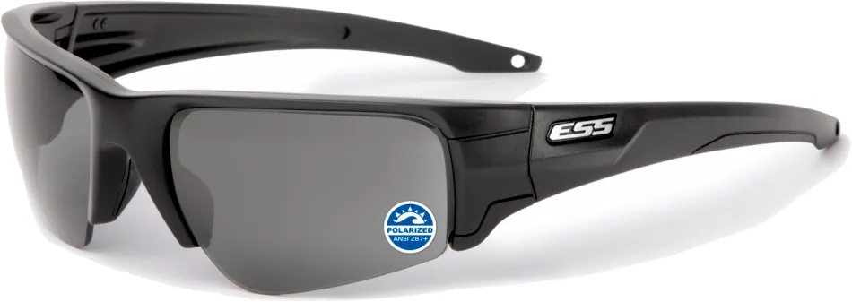 ESS EE9019-02 CROWBAR シルバーロゴ　２LENS Crowbar Silver Logo | ESS EyePro