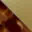 tortoise-bronze-swatch
