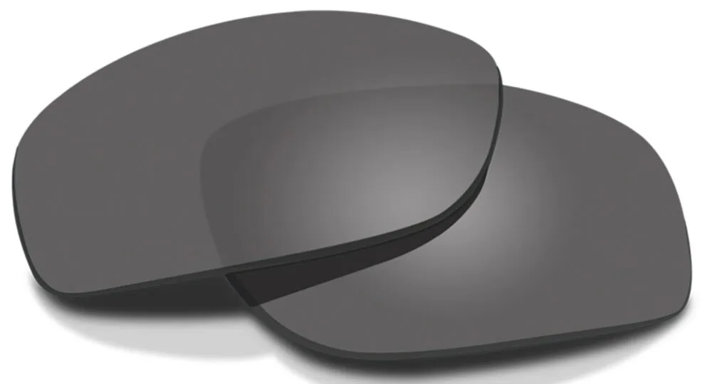 reason様 Wiley X Brick Replacement Lenses | RX Safety