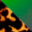 Revo-tortoise-Green-Photochromic-Swatch