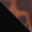 black-tortoise-swatch_1