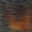 Havana-wood-swatch