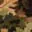 SFVS-OAKLEAF-CAMO_swatch