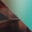 tortoise-brown-opal-blue-swatch