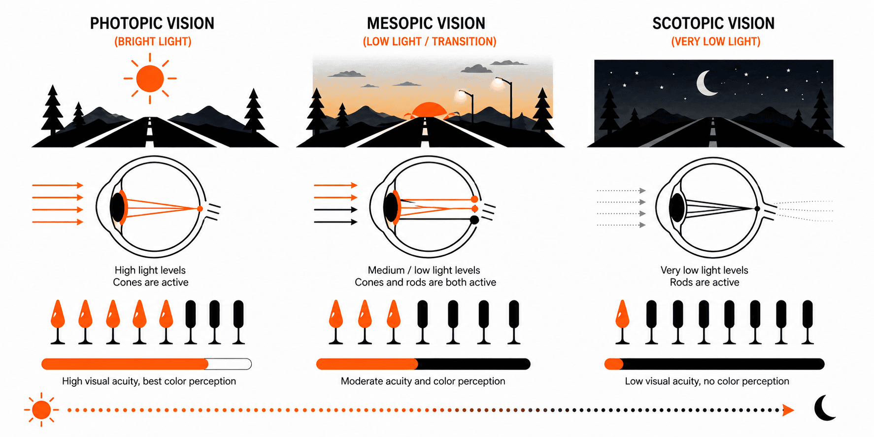 The Science of Night Vision